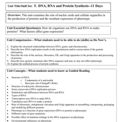 Photosynthesis homework 3 answer key