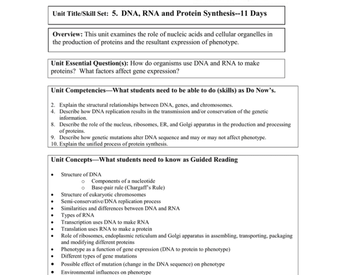 Photosynthesis homework 3 answer key