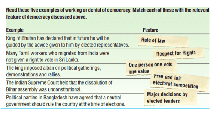 Cradle of democracy answer key