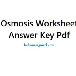 Osmosis stem case gizmo answer key pdf