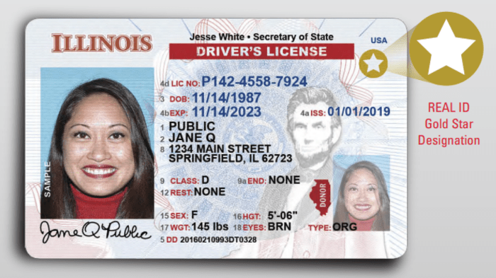 Illinois test license cdl passenger driver commercial il driving vehicles practice drivers dmv