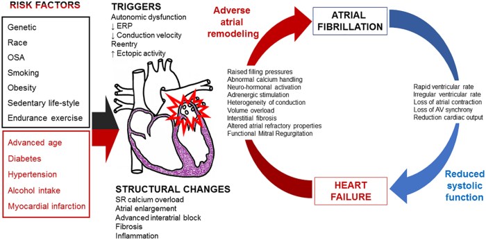 Hesi case study heart failure with atrial fibrillation