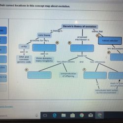 Chapter 15 darwin's theory of evolution answer key