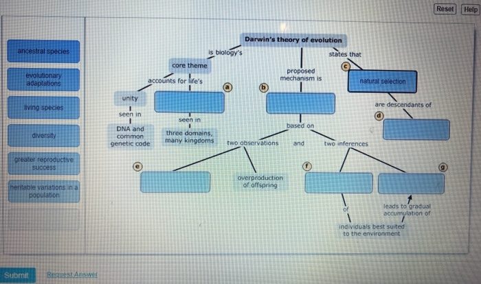 Chapter 15 darwin's theory of evolution answer key