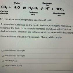 H2o co2 hco3 solved concentration ht transcribed examians