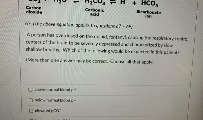 H2o co2 hco3 solved concentration ht transcribed examians