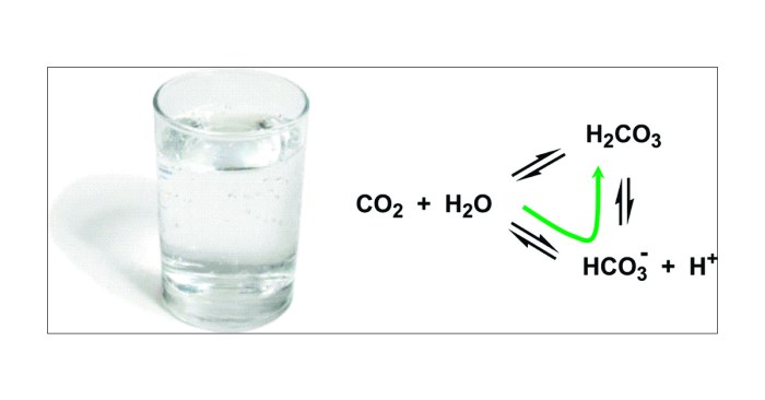 Aq hco3 co3 equations transcribed