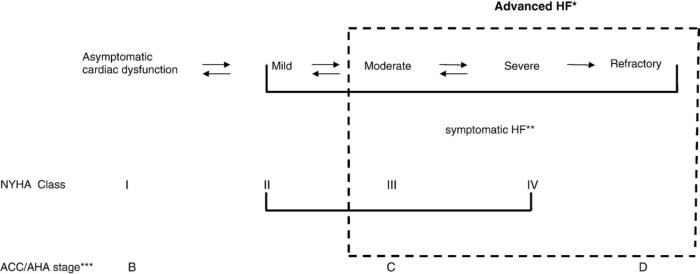 Hesi case study heart failure with atrial fibrillation