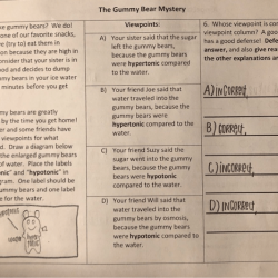 The gummy bear mystery amoeba sisters answer key