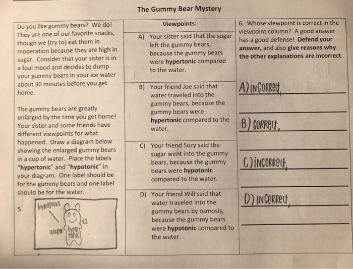 The gummy bear mystery amoeba sisters answer key