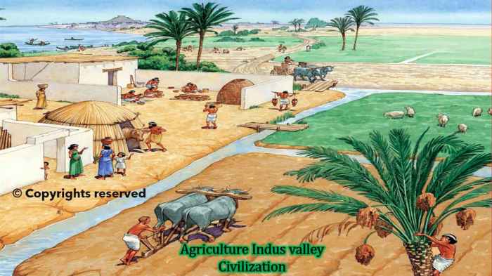 How did indus river valley civilizations use irrigation techniques